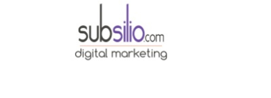 Subsilio Consulting LLC Cover Image