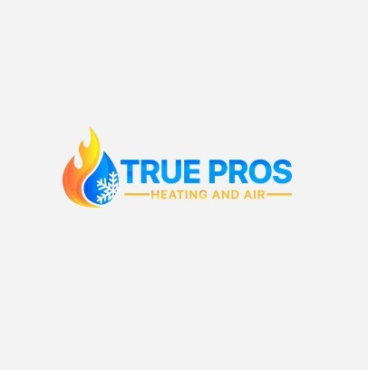 True Pros Heating And Air Profile Picture