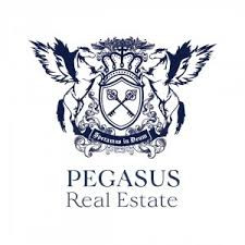 pegasus realestateae Profile Picture