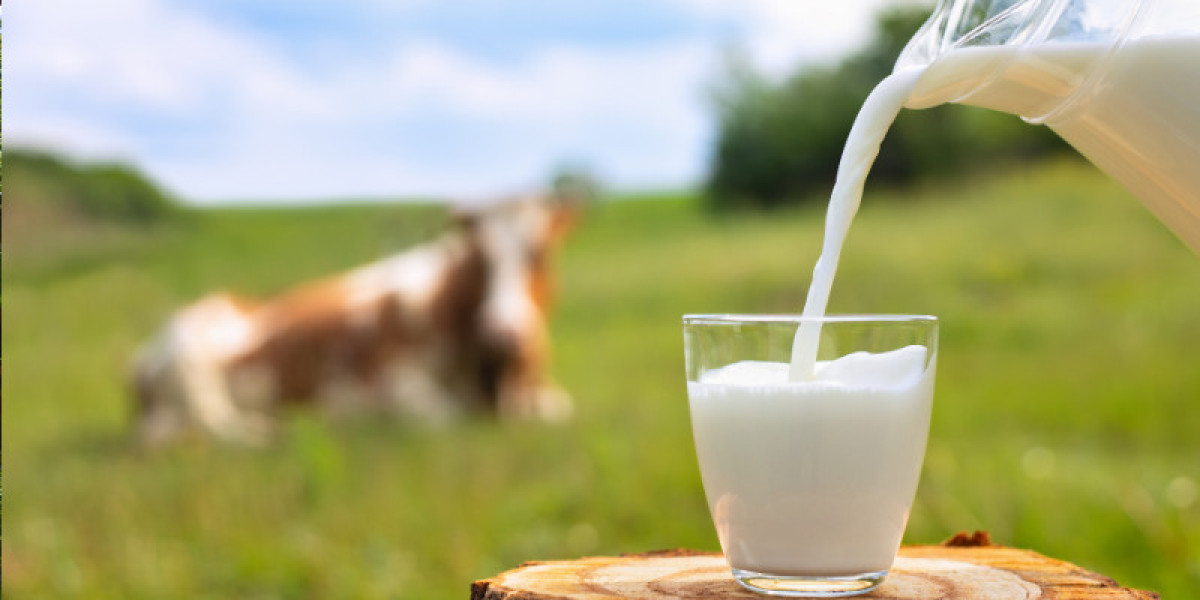 The Australian Milk Market: Growth, Trends, and Innovations (2024-2032)