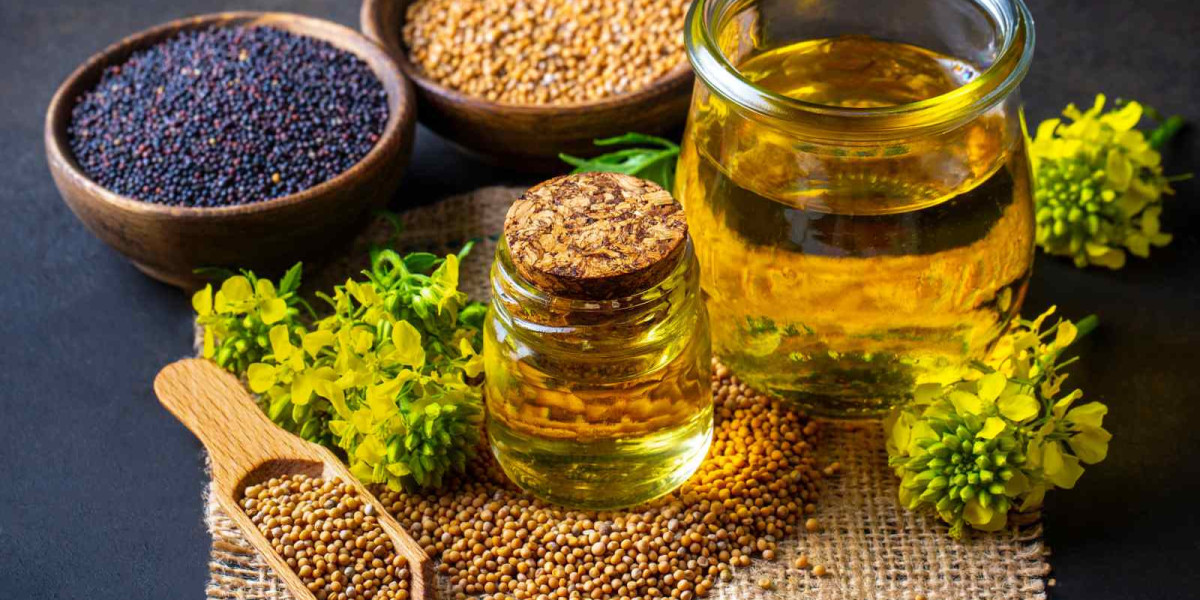 Mustard Oil Price in Pakistan: Trends, Benefits, and Buying Tips